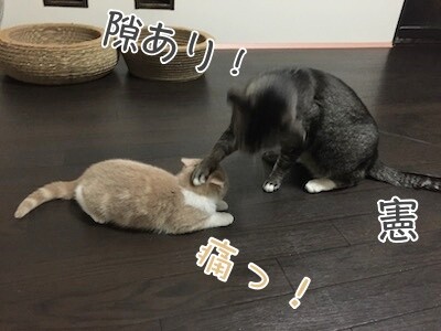 みんな2841