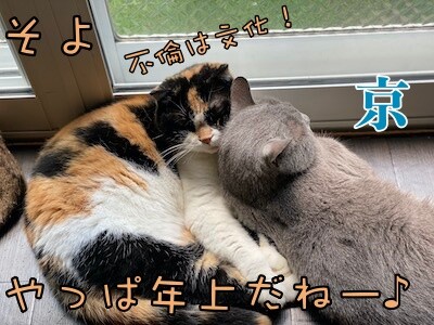 みんな952