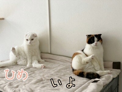 みんな2338