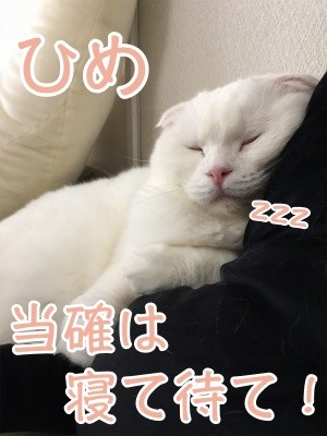 ひめ124