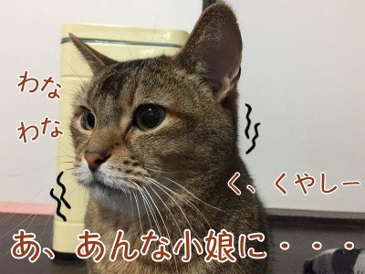 俊131