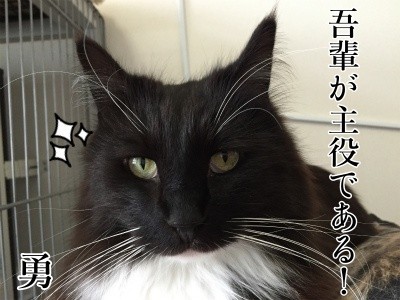 勇21