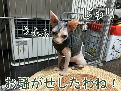 じゅり37