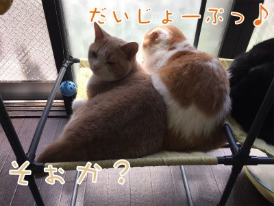 みんな926