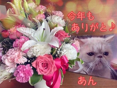 あん10