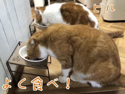 ベルビル153
