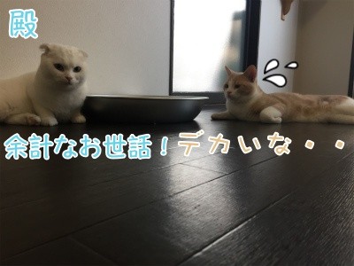 みんな607