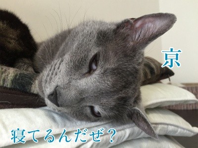 京35