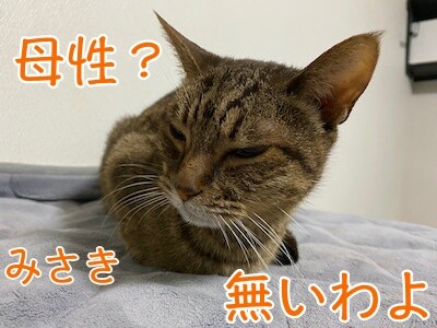 みさき413