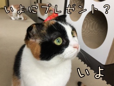 いよ200