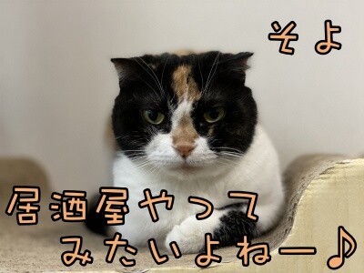 そよ178