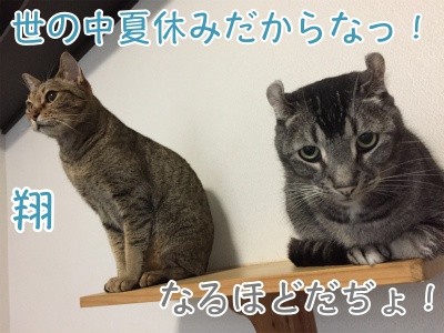 みんな618