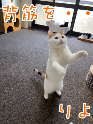 りよ163