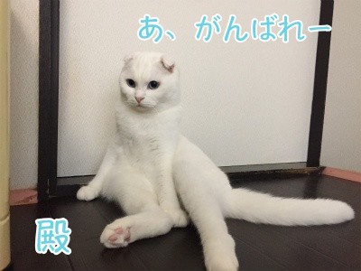 殿82