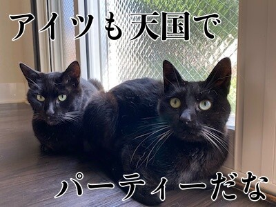 みんな307