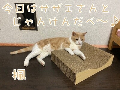楓975