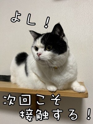 珠若516