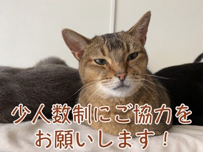 俊339