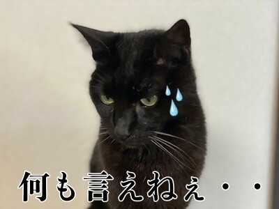 暁12