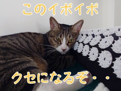 魚卵473