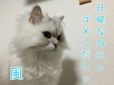 風22