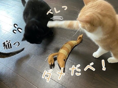 みんな14