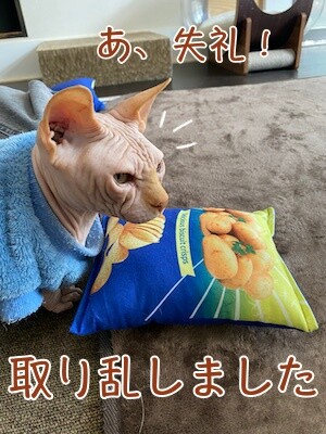 士161