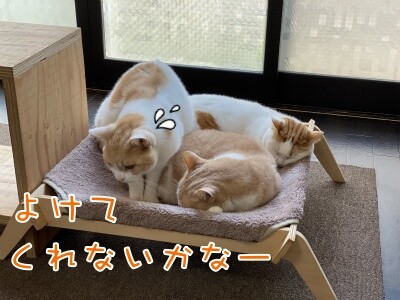 みんな2533
