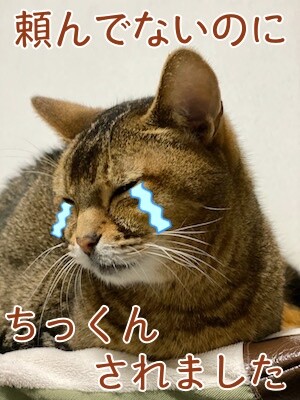 俊543