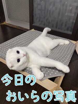 殿685