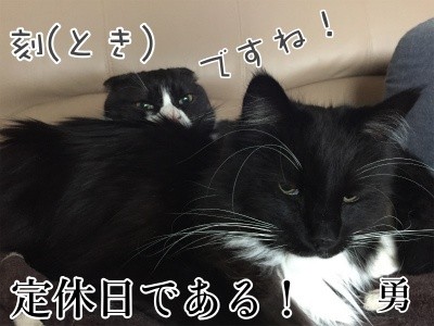 みんな923