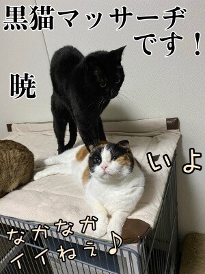みんな2052