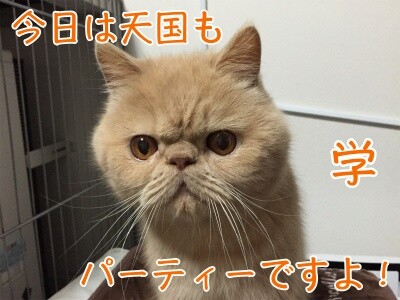 学51