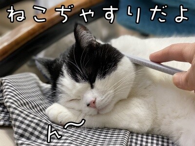 珠若626