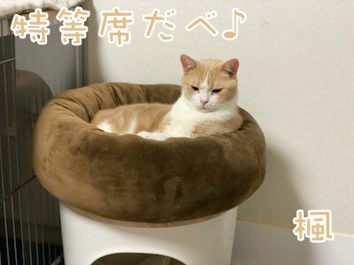 みんな879