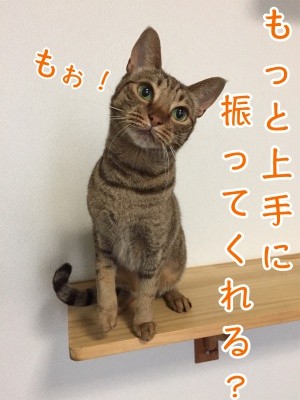 みさき83