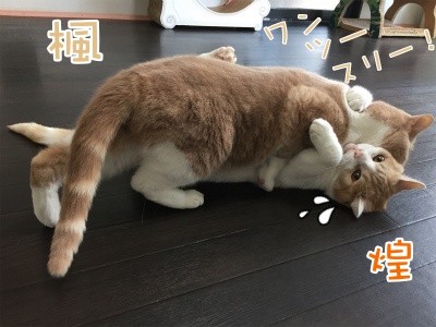 みんな912