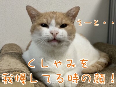 煌172