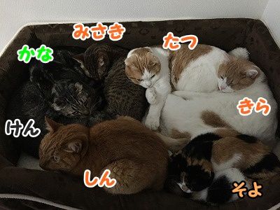 みんな (14)