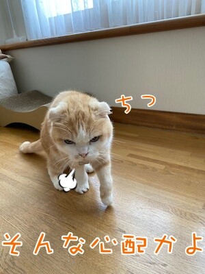 珠若270