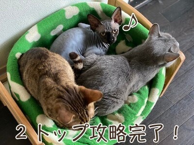 みんな446