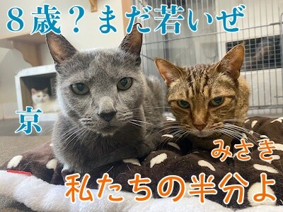 みんな1456
