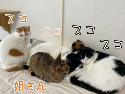 みんな1327