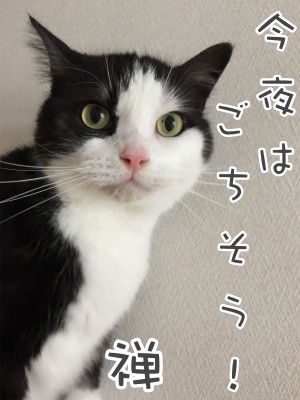 禅4