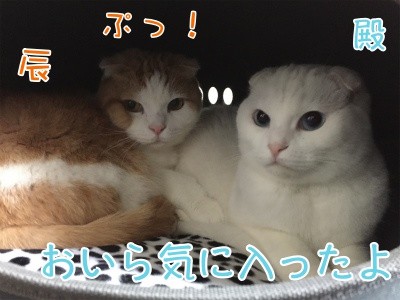 みんな894