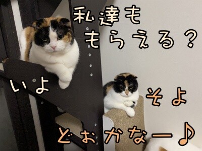 みんな1437