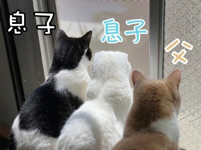 みんな2609