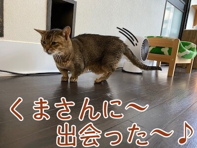 俊541