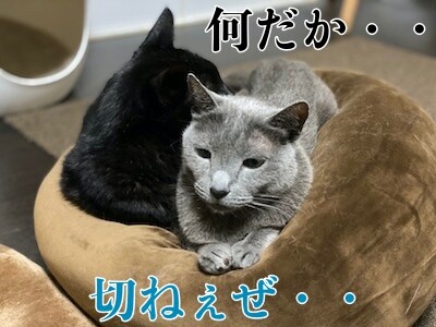 みんな607
