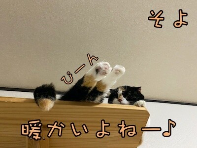 そよ304